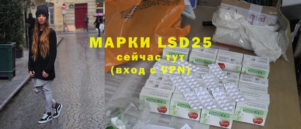 индика Пролетарск